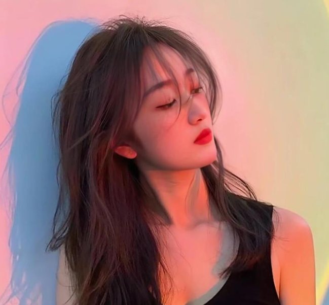 金牌十二道道道负真情